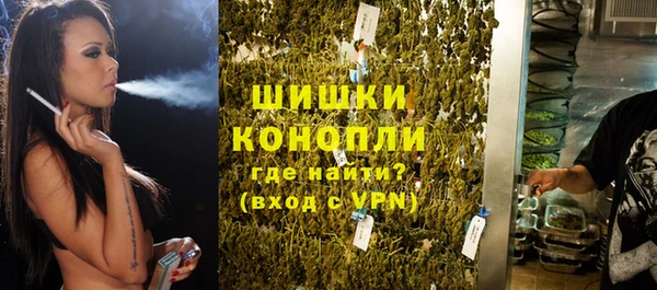мдпв Верхний Тагил