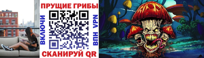 Галлюциногенные грибы Psilocybe  что такое   Знаменск 